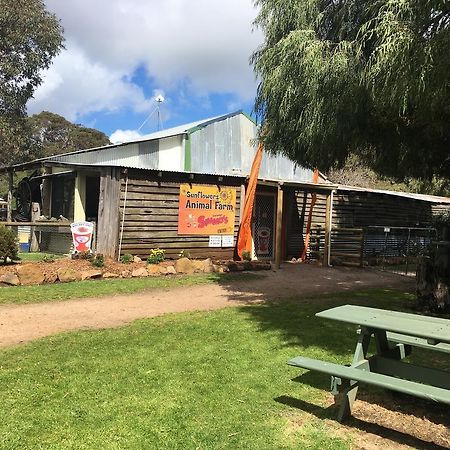 Sunflowers Animal Farm & Farmstay Margaret River Ngoại thất bức ảnh