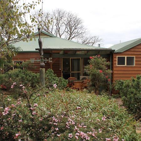 Sunflowers Animal Farm & Farmstay Margaret River Ngoại thất bức ảnh
