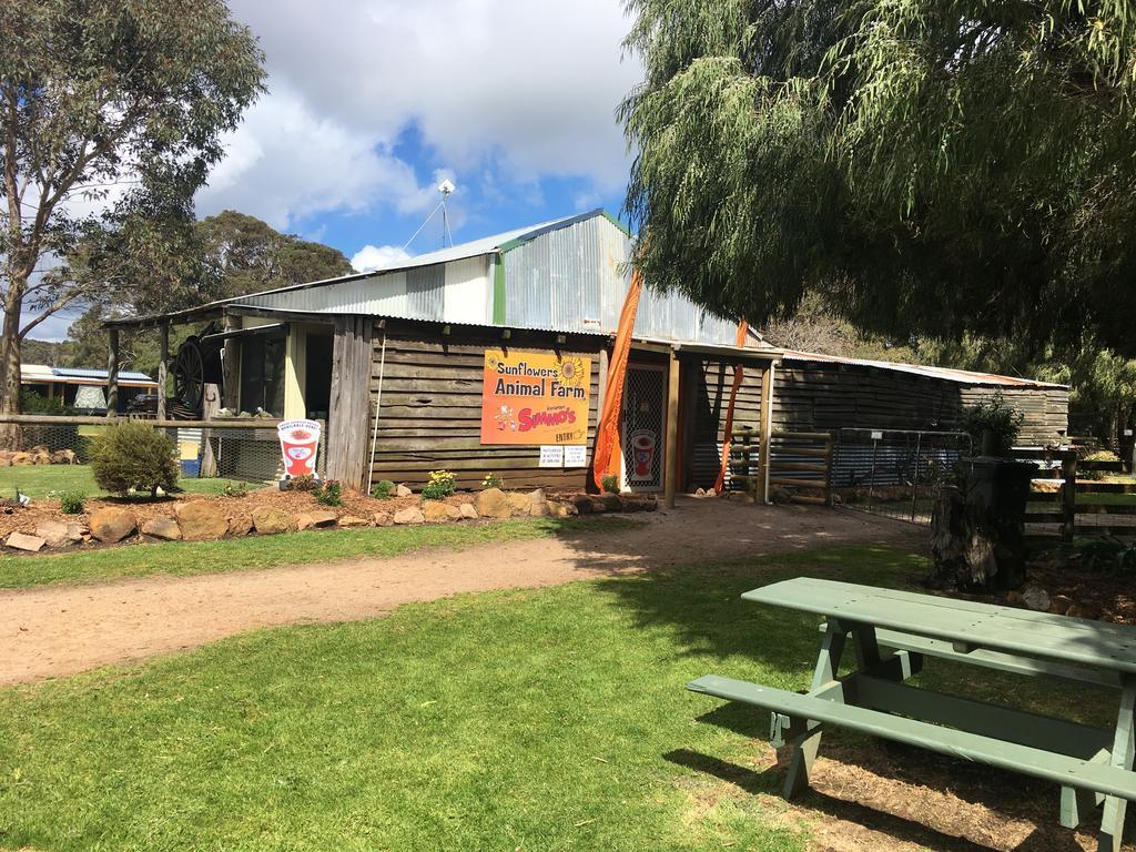 Sunflowers Animal Farm & Farmstay Margaret River Ngoại thất bức ảnh