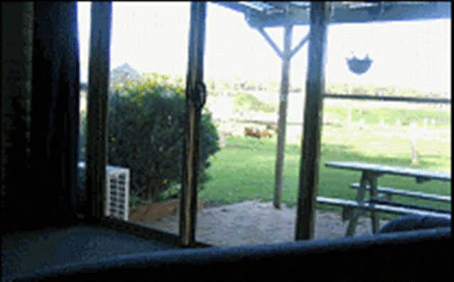 Sunflowers Animal Farm & Farmstay Margaret River Ngoại thất bức ảnh