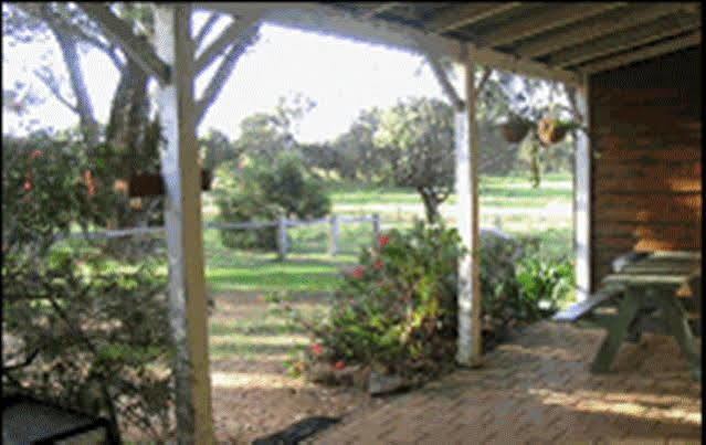 Sunflowers Animal Farm & Farmstay Margaret River Ngoại thất bức ảnh