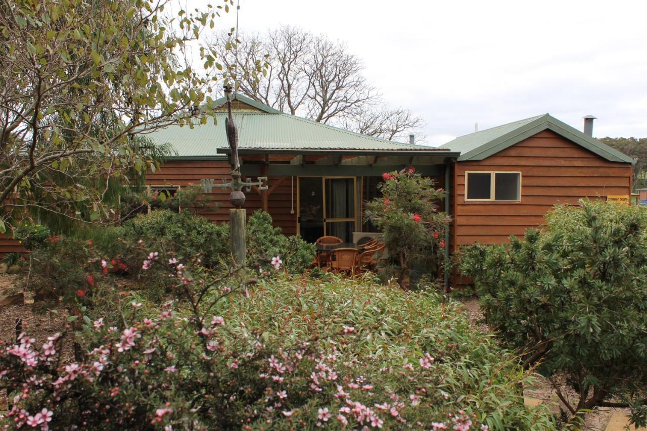 Sunflowers Animal Farm & Farmstay Margaret River Ngoại thất bức ảnh